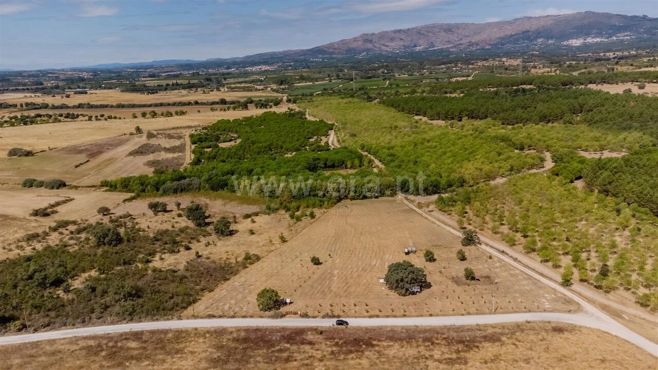 Terreno para Venda em Orca Foto 2
