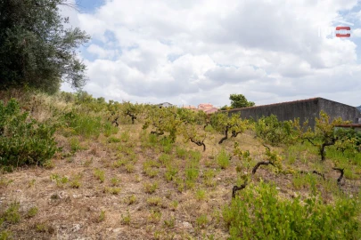 Terreno Misto para Venda em Atouguia