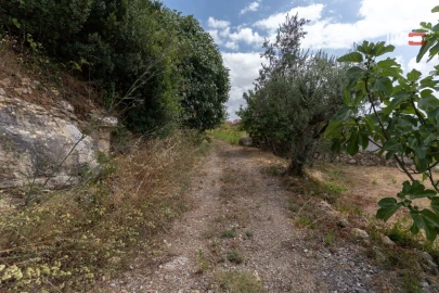 Terreno Misto para Venda em Atouguia