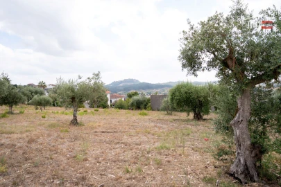 Terreno Misto para Venda em Atouguia