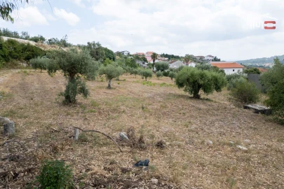 Terreno Misto para Venda em Atouguia