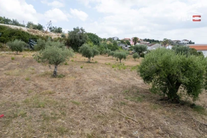 Terreno Misto para Venda em Atouguia