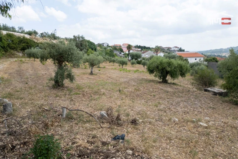 Terreno Misto para Venda em Atouguia Foto 17