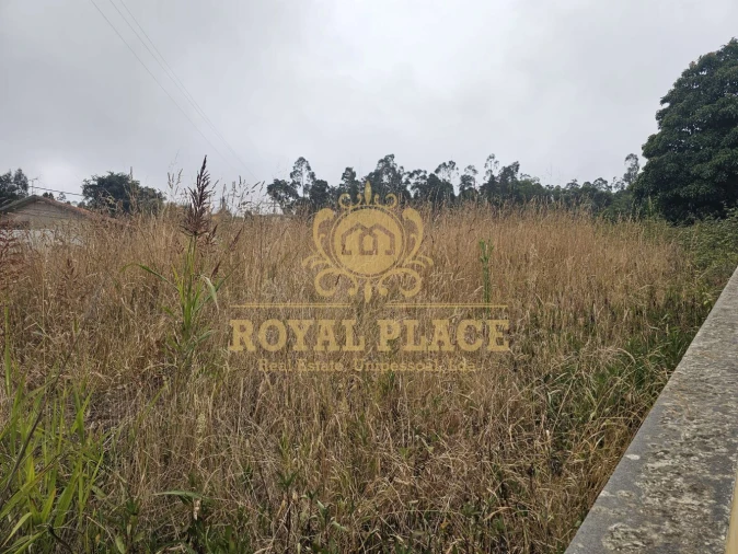 Terreno para Venda em Mozelos Foto 6