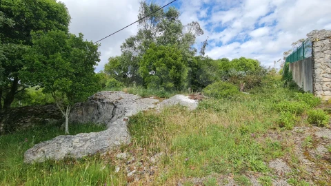 Terreno para Venda em Reguengo Grande