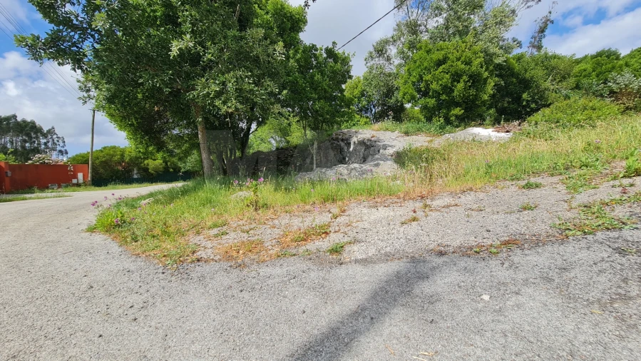 Terreno para Venda em Reguengo Grande Foto 4