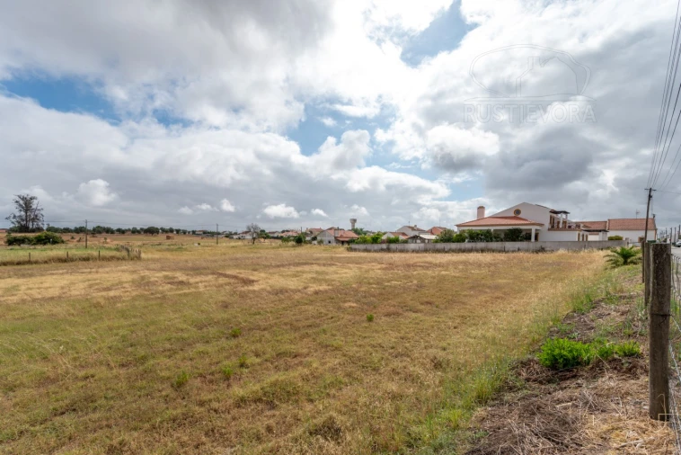 Terreno para Venda em Foros de Vale de Figueira Foto 14