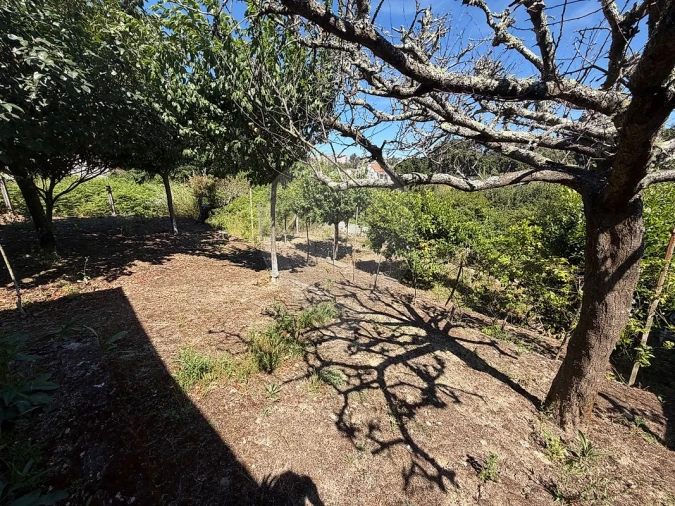 Terreno para Venda em Mafamude e Vilar do Paraíso Foto 9