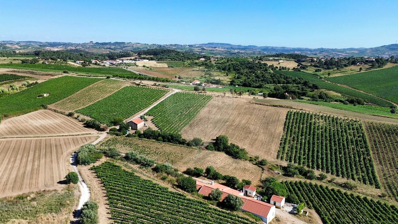 Moradia T3 para Venda em Carvoeira e Carmões Foto 6