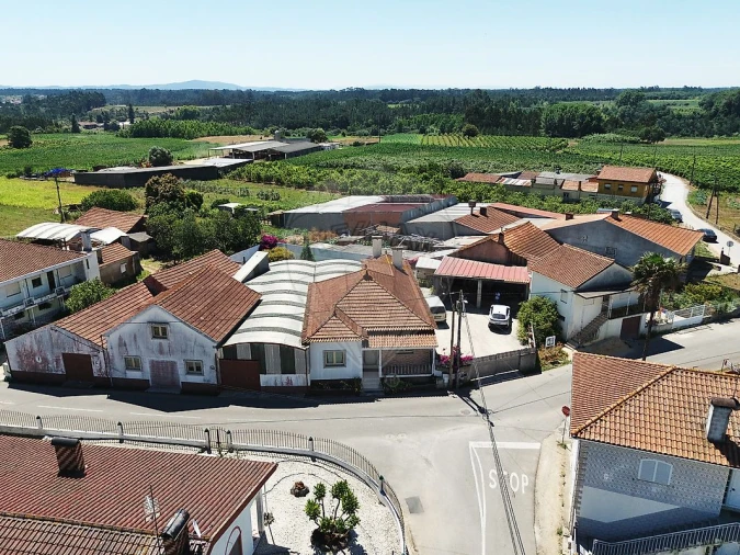 Moradia T3 para Venda em Bustos, Troviscal e Mamarrosa Foto 24