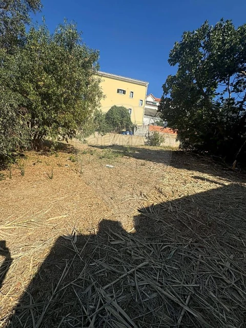 Terreno para Venda em Alhandra, São João dos Montes e Calhandriz