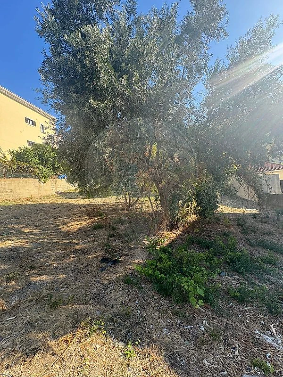 Terreno para Venda em Alhandra, São João dos Montes e Calhandriz Foto 5