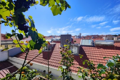 Prédio para Venda em Santa Maria Maior