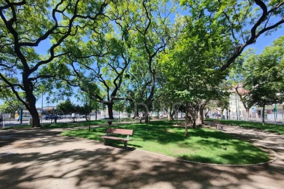 Apartamento T2 para Venda em Estrela