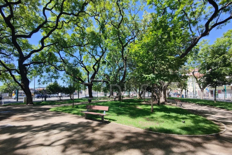 Apartamento T2 para Venda em Estrela Foto 37