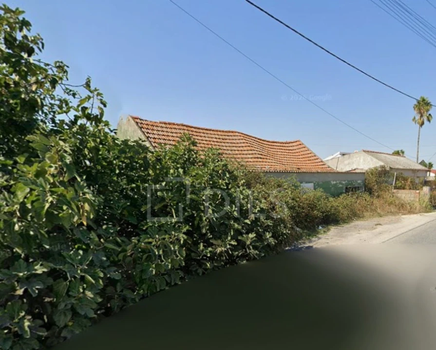 Terreno para Venda em Pinhal Novo Foto 2