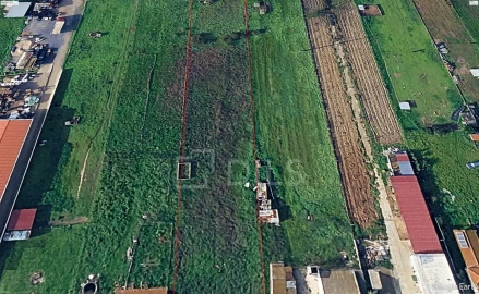 Terreno para Venda em Pinhal Novo
