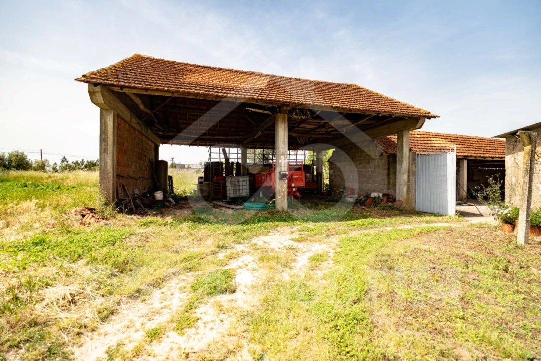 Moradia T3 para Venda em Pombal Foto 21