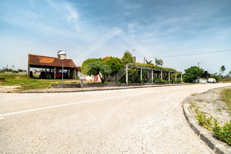 Moradia T3 para Venda em Pombal Foto 22