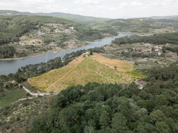 Quinta T5 para Venda em Capeludos