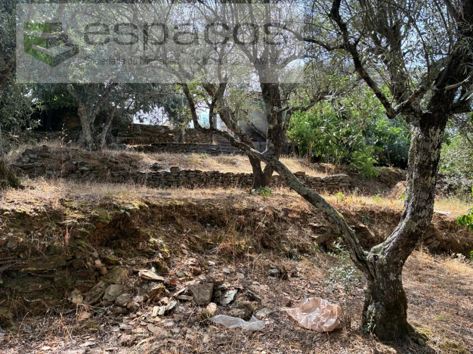Terreno para Venda em Silvares Foto 10