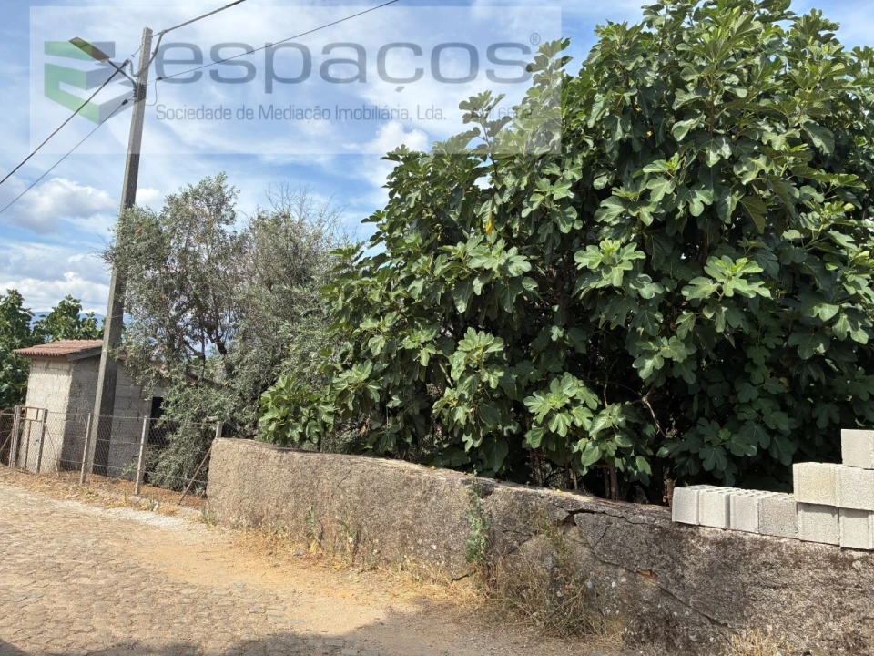 Terreno para Venda em Silvares Foto 13