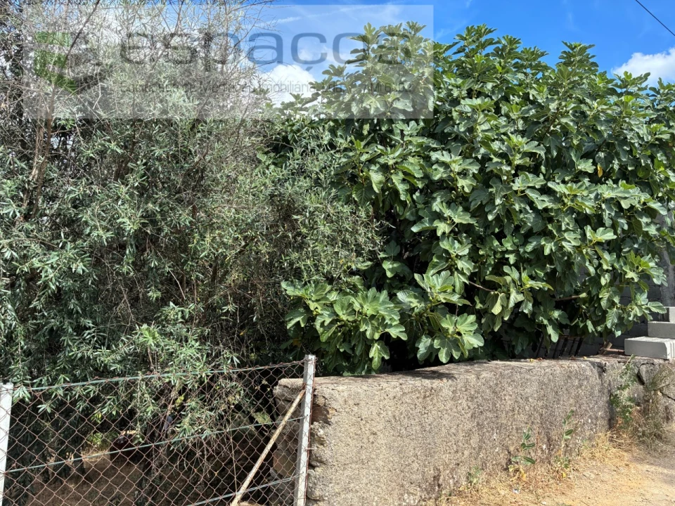 Terreno para Venda em Silvares Foto 15