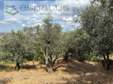 Terreno para Venda em Silvares