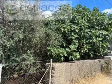 Terreno para Venda em Silvares