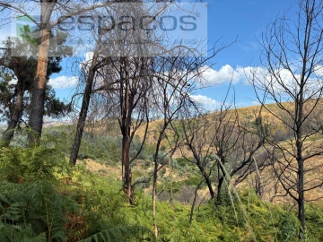 Terreno para Venda em Silvares