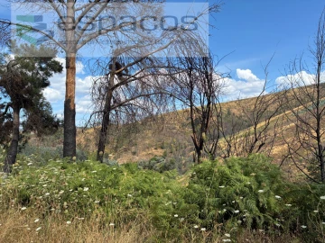 Terreno para Venda em Silvares