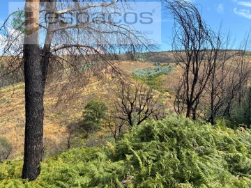 Terreno para Venda em Silvares