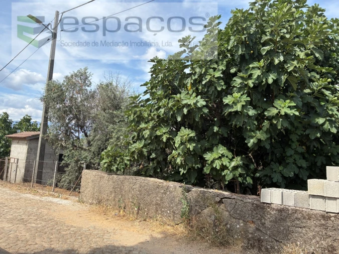 Terreno para Venda em Silvares Foto 13
