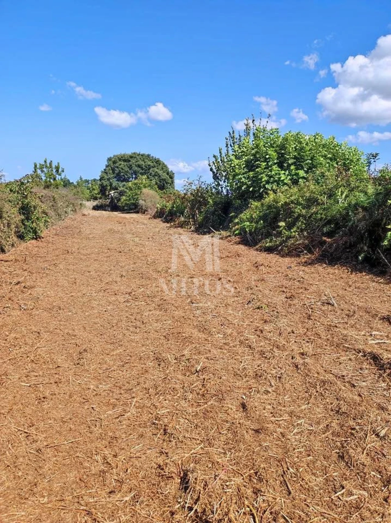 Terreno para Venda em Cardielos e Serreleis Foto 1
