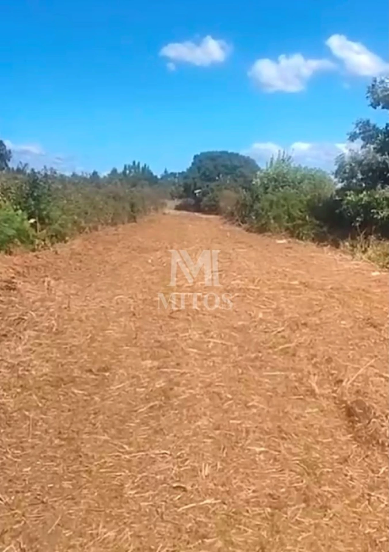 Terreno para Venda em Cardielos e Serreleis Foto 2