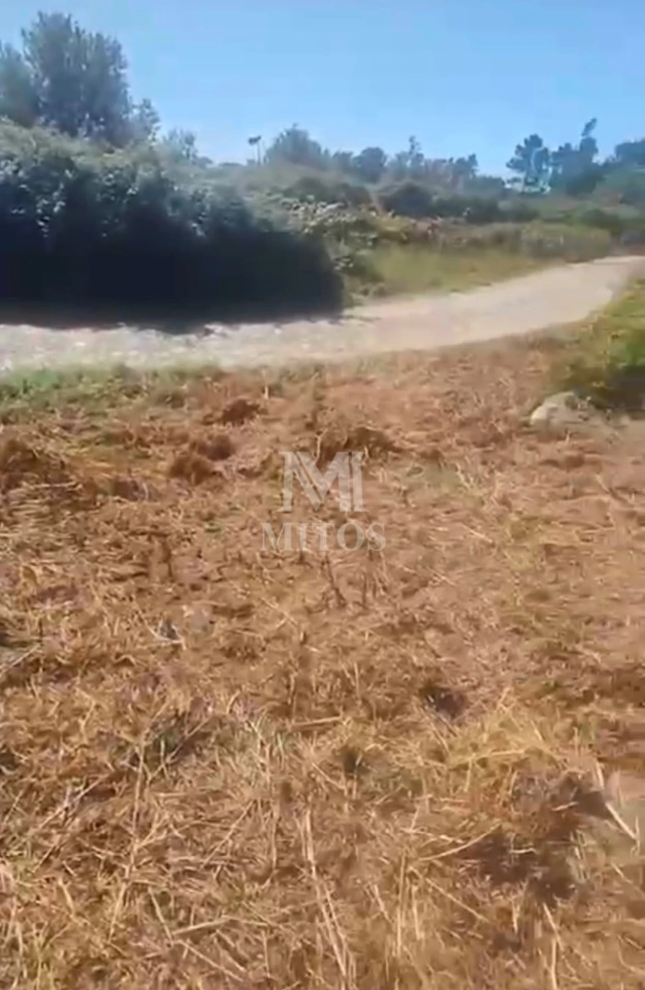 Terreno para Venda em Cardielos e Serreleis Foto 3