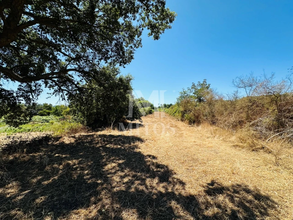 Terreno para Venda em Cardielos e Serreleis Foto 7