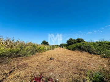Terreno para Venda em Cardielos e Serreleis