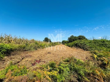 Terreno para Venda em Cardielos e Serreleis
