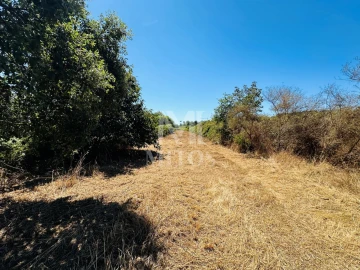 Terreno para Venda em Cardielos e Serreleis
