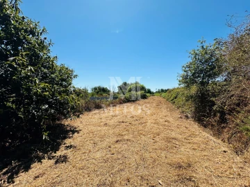 Terreno para Venda em Cardielos e Serreleis