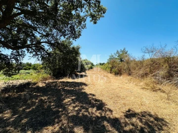 Terreno para Venda em Cardielos e Serreleis