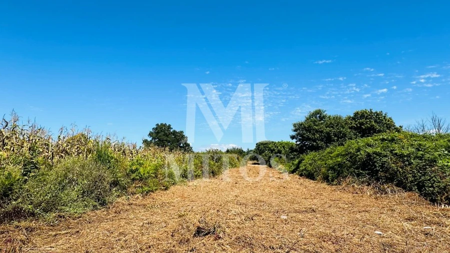 Terreno para Venda em Cardielos e Serreleis