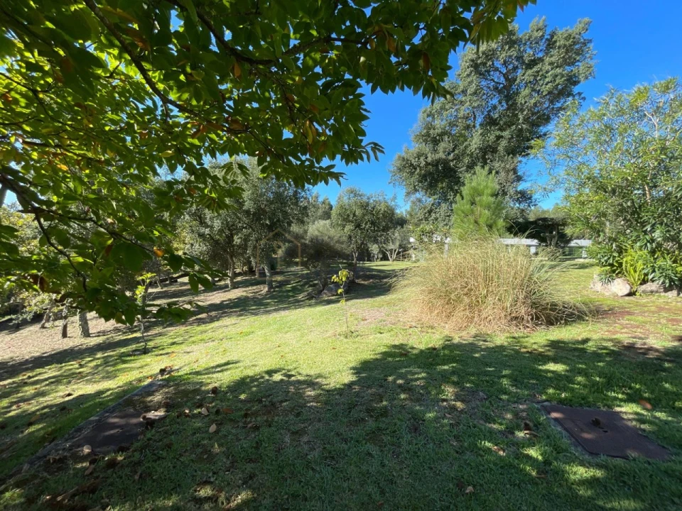 Moradia T4 para Venda em São Pedro de Arcos Foto 55