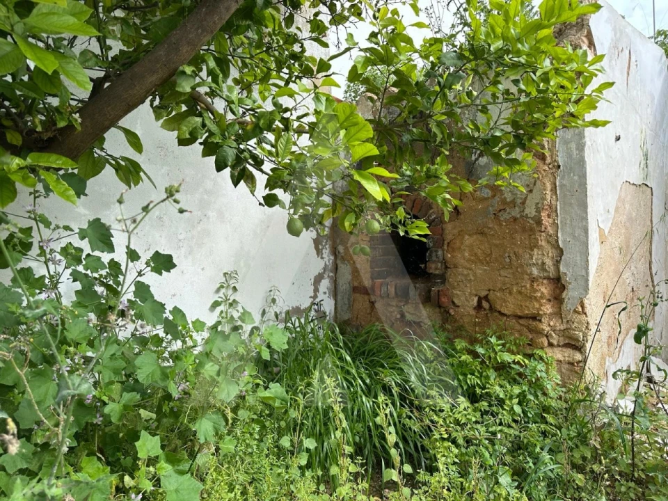 Terreno para Venda em Salir Foto 2