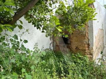 Terreno para Venda em Salir