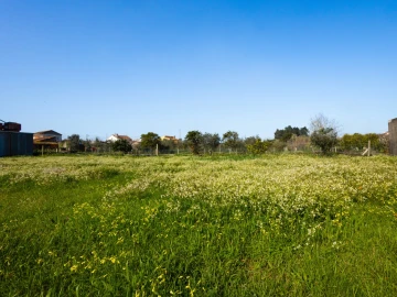 Terreno para Venda em Carapinheira