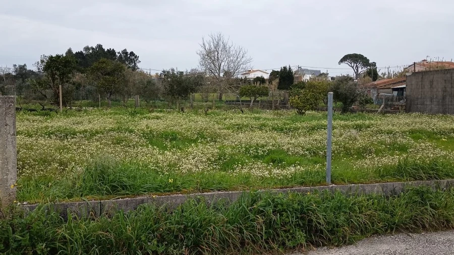 Terreno para Venda em Carapinheira