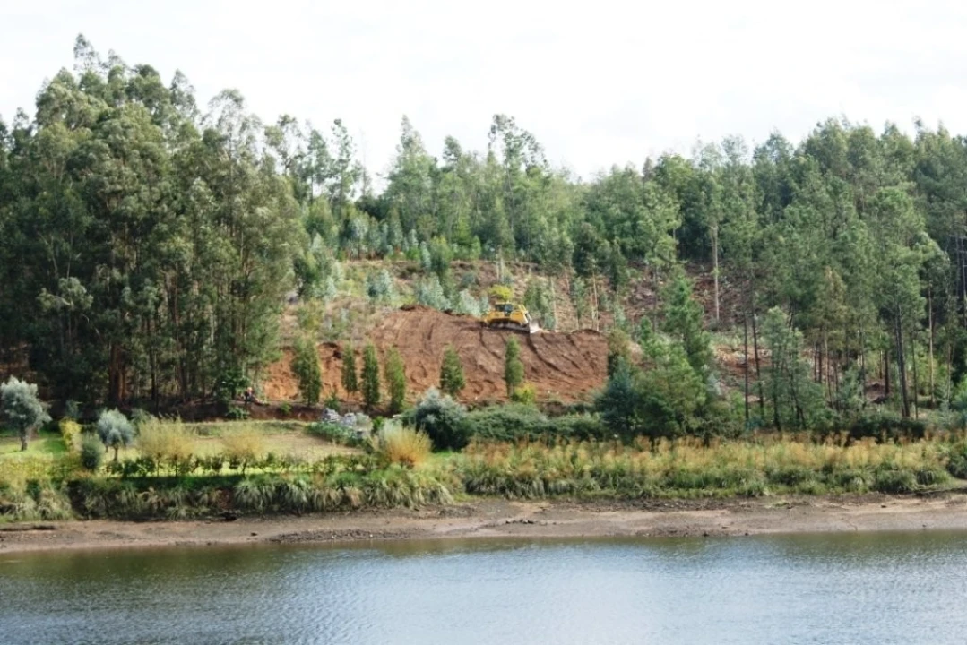 Quinta T15 para Venda em Penacova Foto 22