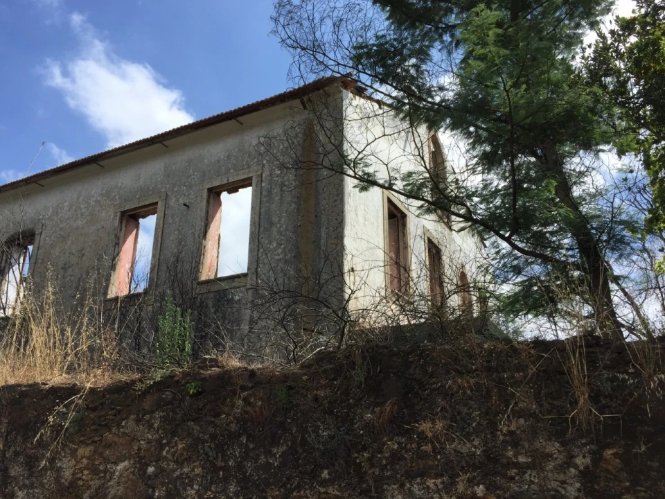 Quinta T15 para Venda em Penacova Foto 24